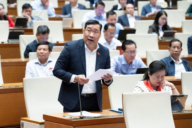 ជនជាតិវៀតណាមកាន់មាសជិត ៥០ម៉ឺនតោន - រូបថត ១.