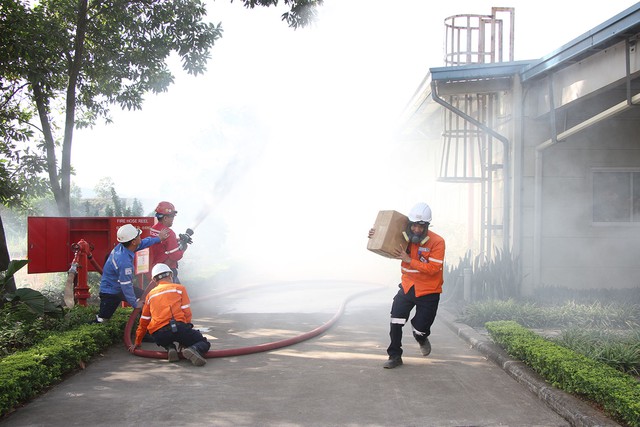 - Ảnh 4.  - Ảnh 4.