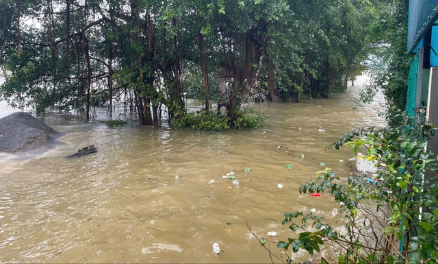 Vùng trũng Lệ Thủy ở Quảng Trị ngập sâu do mưa lớn - Ảnh 2.