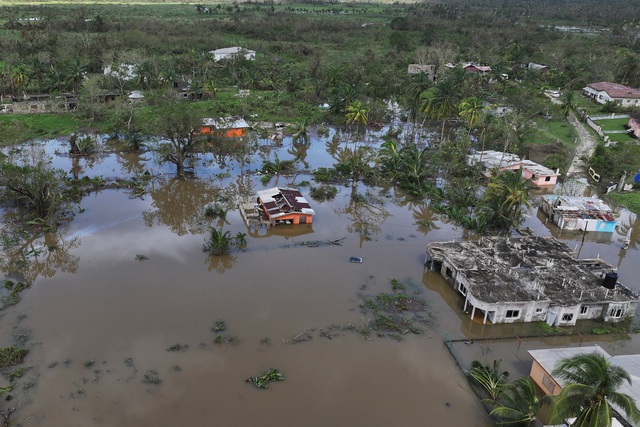 - Ảnh 2.  - Ảnh 2.