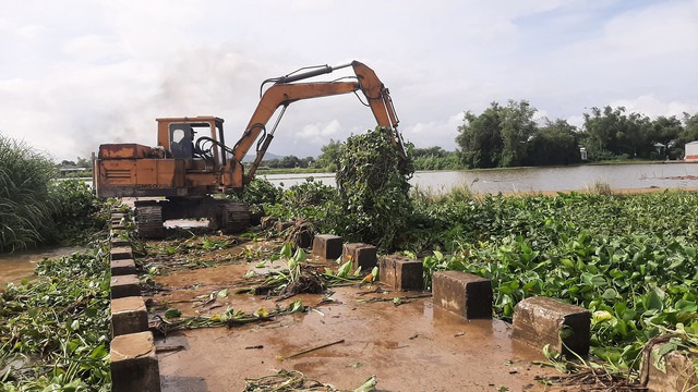 Gia Lai: Ngập lụt phía hạ lưu sông Kôn, nhiều trường học phải đóng cửa - Ảnh 7.
