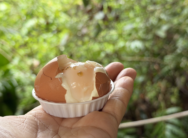 Trứng lòng đào nóng hổi, dẻo thơm luộc từ nước khoáng nóng tự nhiên, mời du khách dùng ngay. Trứng lòng đào nóng hổi, dẻo thơm luộc từ nước khoáng nóng tự nhiên, mời du khách dùng ngay.