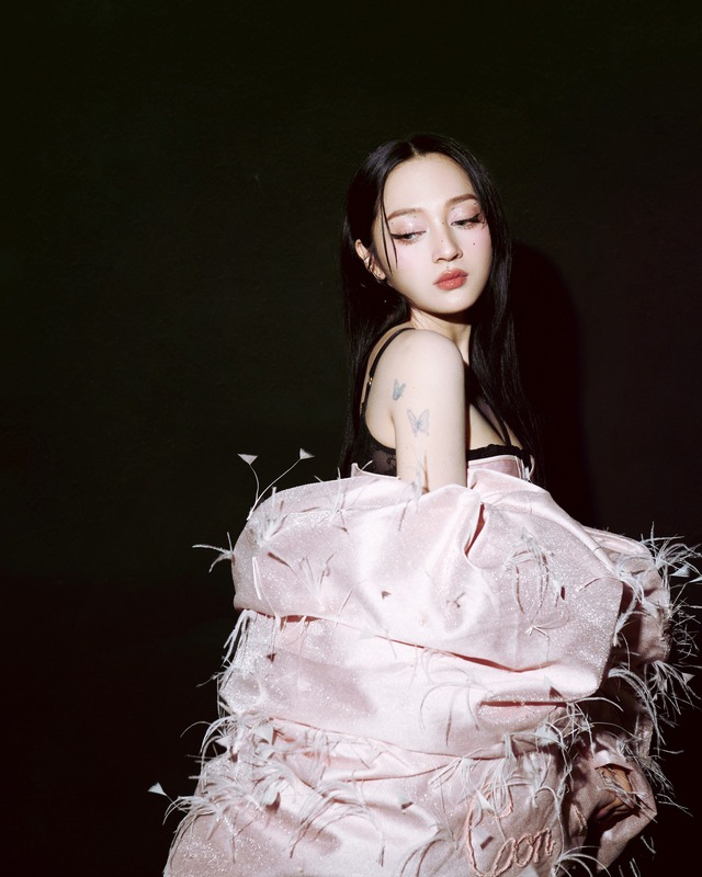 Ca sĩ Bảo Anh xin lỗi vụ sự cố trang phục - Ảnh 2.