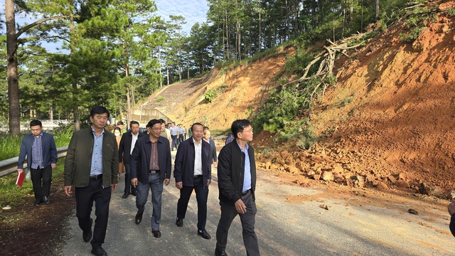 L&acirc;m Đồng thu&ecirc; tư vấn khảo s&aacute;t, đ&aacute;nh gi&aacute; sạt lở đ&egrave;o D&rsquo;Ran tr&ecirc;n QL20 - Ảnh 3.