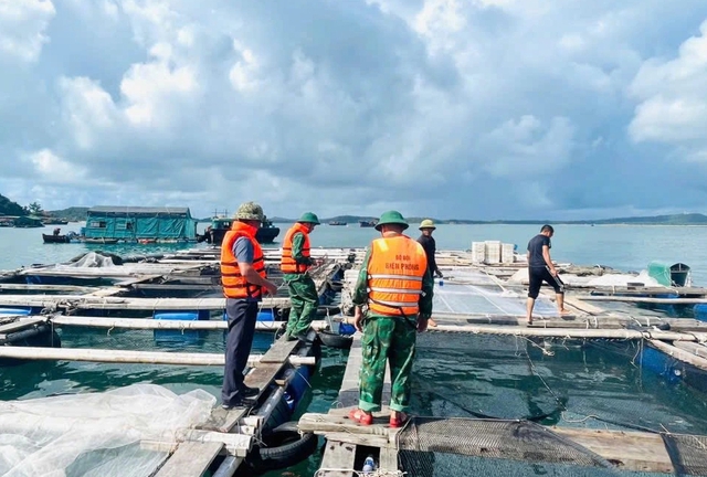 Hải Phòng, Quảng Ninh cấm biển để ứng phó bão số 11 - Ảnh 2.