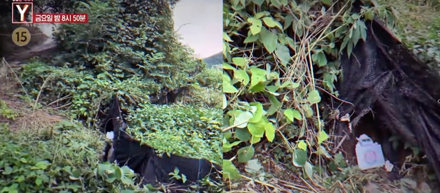 Nữ influencer bị s&aacute;t hại, vứt x&aacute;c l&ecirc;n n&uacute;i sau 30 ph&uacute;t tắt livestream- Ảnh 1.