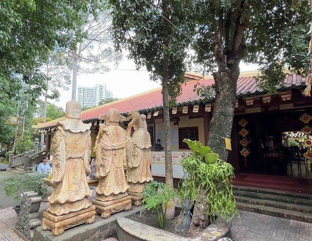 Cội bạch mai cổ thụ trăm tuổi và những câu chuyện Kỳ diệu tại chùa Gò - Ảnh 2. Cội bạch mai cổ thụ trăm tuổi và những câu chuyện Kỳ diệu tại chùa Gò - Ảnh 2.