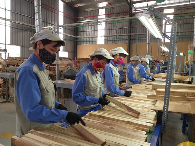 Xuất khẩu hàng hóa suy giảm , CPI bật tăng trong tháng 9 năm 2025 - Ảnh 1.