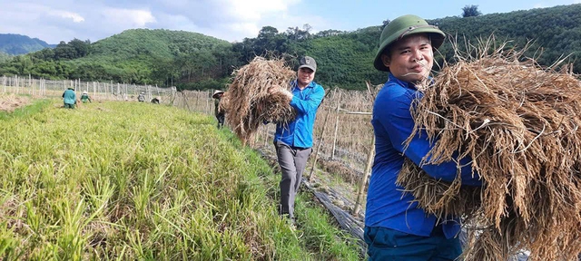 Thanh niên tình nguyện - điểm tựa của người dân trong những ngày khó khăn sau bão, lũ- Ảnh 10.
