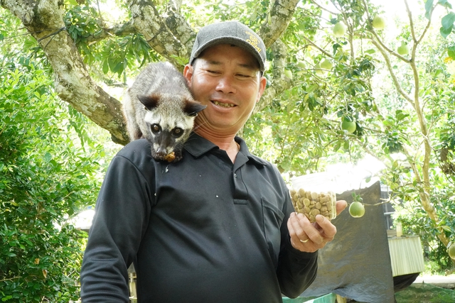 Kỹ Thuật Đà Năng
