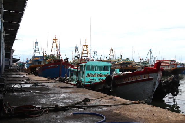 Lâm Đồng siết chặt quản lý đội tàu, quyết liệt ngăn chặn vi phạm IUU- Ảnh 2.