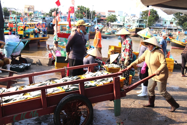 Lâm Đồng siết chặt quản lý đội tàu, quyết liệt ngăn chặn vi phạm IUU- Ảnh 3.