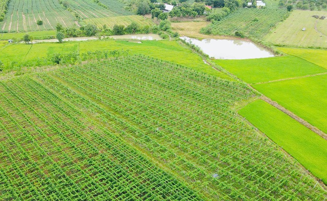 Chung dòng máu Lạc Hồng: Già làng giữ lửa nơi biên cương - Ảnh 2.