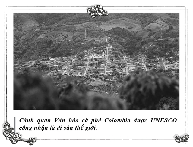 - Ảnh 2. - Ảnh 2.