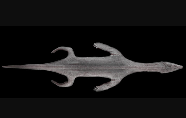 - Ảnh 1. - Ảnh 1.