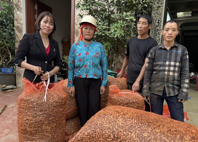 Lù Thị Tuyên: Người phụ nữ giúp dân làm giàu trên cao nguyên đá Hà Giang - Ảnh 2. Lù Thị Tuyên: Người phụ nữ giúp dân làm giàu trên cao nguyên đá Hà Giang - Ảnh 2.