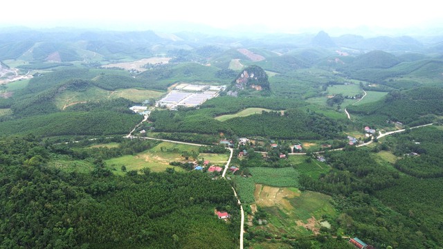 Một xã có 7 trang trại chăn nuôi lợn: Rình rập nguy cơ ô nhiễm môi trường - Ảnh 3.