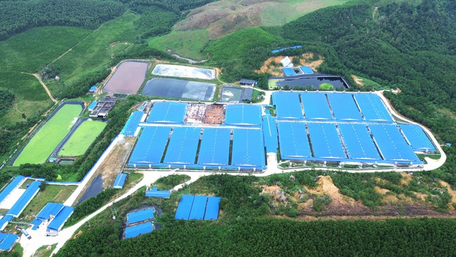 Một xã có 7 trang trại chăn nuôi lợn: Rình rập nguy cơ ô nhiễm môi trường - Ảnh 1.