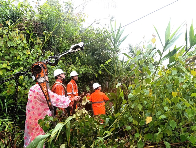 EVNCPC đ&atilde; kh&ocirc;i phục cấp điện cho hơn 84% kh&aacute;ch h&agrave;ng bị ảnh hưởng do mưa lũ - Ảnh 3.