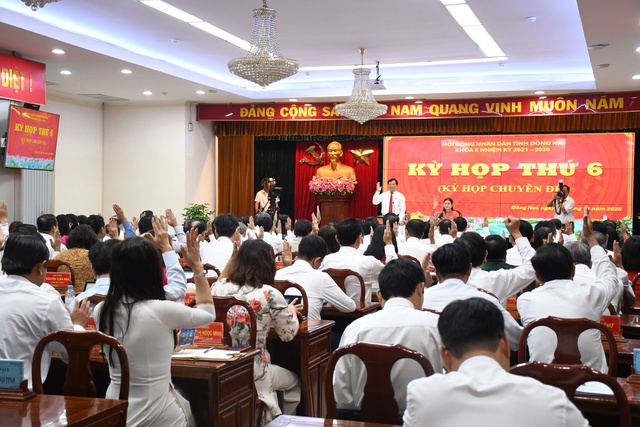 Chuẩn bị xây 6 cây cầu nối Đồng Nai với TP.HCM, đó là những cây cầu nào? - Ảnh 1.