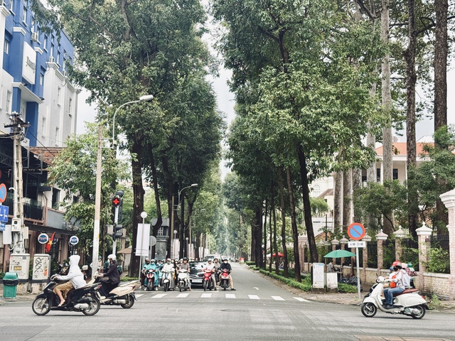 Thời tiết TP.HCM ngày 10.11: Triều cường ở mức báo động, đề phòng mưa lớn - Ảnh 3.