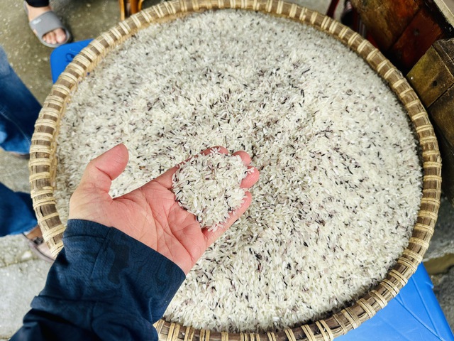 Ch&iacute;nh thức: Philippines cấm nhập khẩu gạo đến hết năm 2025- Ảnh 1.