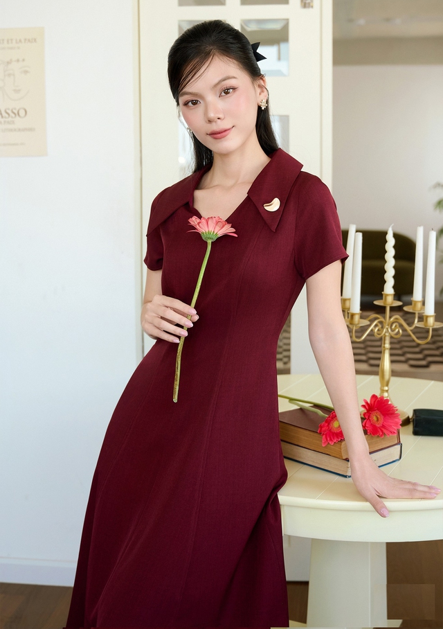 Đẹp từ công sở đến đường phố với đầm cổ sen, váy sơ mi- Ảnh 4.