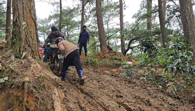 Sạt lở đèo D'Ran khiến giá vận chuyển hàng hóa tăng cao gấp đôi - Ảnh 6.