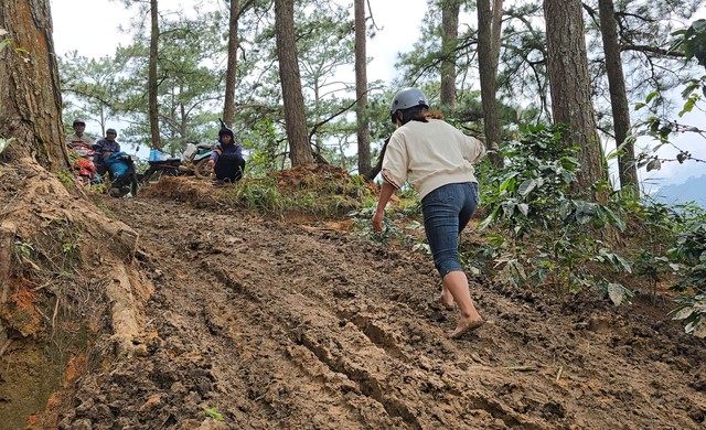 Sạt lở đèo D'Ran khiến giá vận chuyển hàng hóa tăng cao gấp đôi - Ảnh 7.