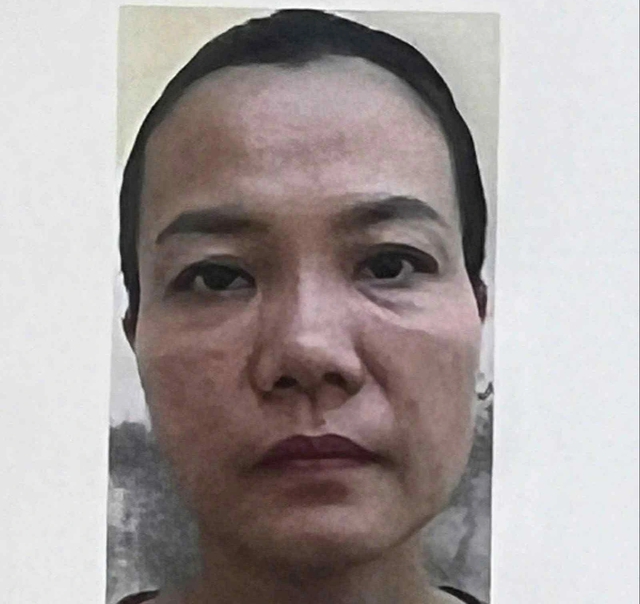 Giả vay mở nhà hàng, kinh doanh sâm Ngọc Linh lừa đảo hơn 10 tỉ đồng- Ảnh 1.