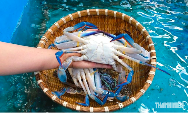 Vì sao xuất khẩu cua ghẹ tăng cao đột biến?  - Ảnh 1.