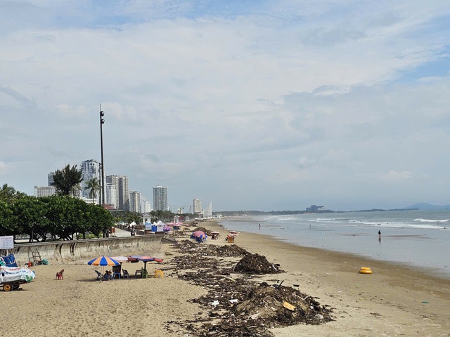 Rác đại dương tấn công Bãi Sau Vũng Tàu Sau công viên nghìn tỉ đồng - Ảnh 11. Rác đại dương tấn công Bãi Sau Vũng Tàu Sau công viên nghìn tỉ đồng - Ảnh 11.