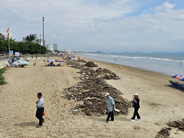 Rác đại dương tấn công Bãi Sau Vũng Tàu Sau công viên nghìn tỉ đồng - Ảnh 8. Rác đại dương tấn công Bãi Sau Vũng Tàu Sau công viên nghìn tỉ đồng - Ảnh 8.