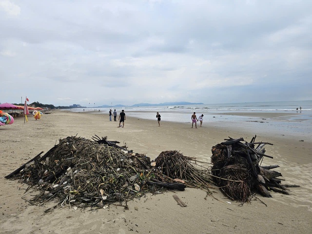 Rác đại dương tấn công Bãi Sau Vũng Tàu Sau công viên nghìn tỉ đồng - Ảnh 12. Rác đại dương tấn công Bãi Sau Vũng Tàu Sau công viên nghìn tỉ đồng - Ảnh 12.