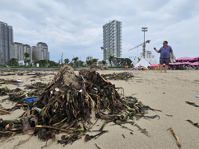 Rác đại dương tấn công Bãi Sau Vũng Tàu Sau công viên nghìn tỉ đồng - Ảnh 7. Rác đại dương tấn công Bãi Sau Vũng Tàu Sau công viên nghìn tỉ đồng - Ảnh 7.