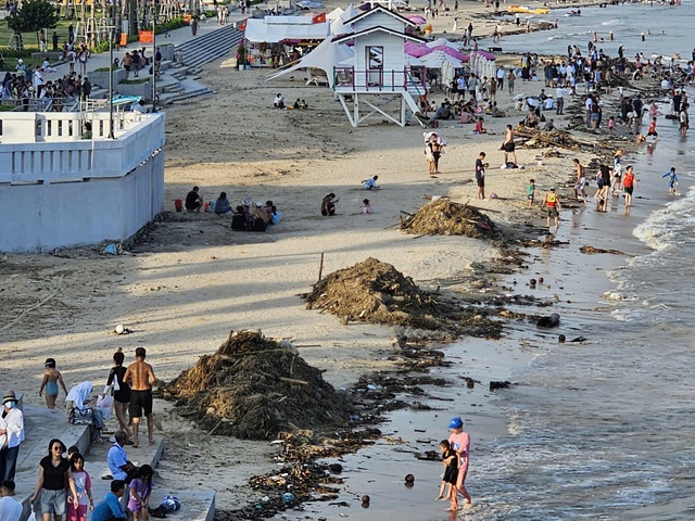 Rác đại dương tấn công Bãi Sau Vũng Tàu Sau công viên nghìn tỉ đồng - Ảnh 4. Rác đại dương tấn công Bãi Sau Vũng Tàu Sau công viên nghìn tỉ đồng - Ảnh 4.