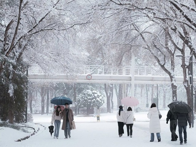 Tuyết rơi ng&agrave;y chia tay - v&agrave; t&ocirc;i 'phải l&ograve;ng' m&ugrave;a đ&ocirc;ng H&agrave;n Quốc- Ảnh 2.
