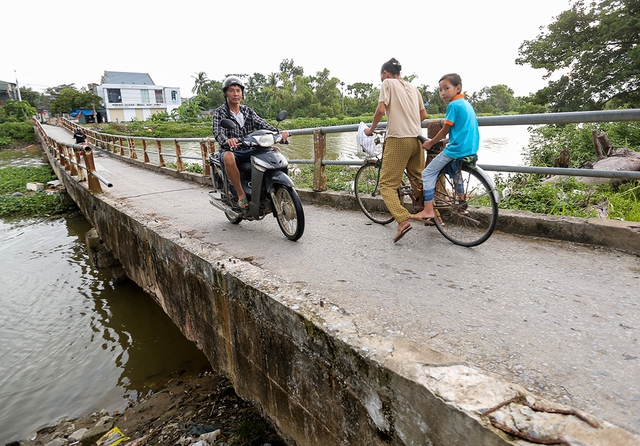 - Ảnh 2. - Ảnh 2.