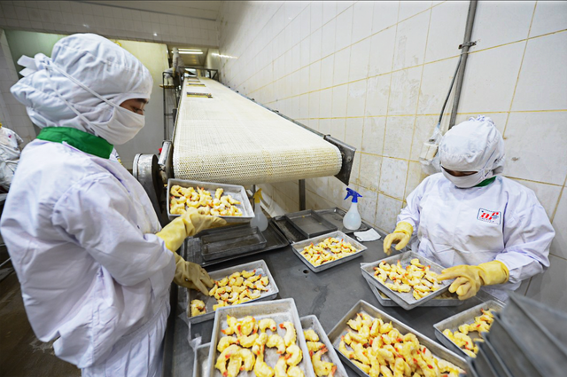 Mùa vàng nông sản Việt- Ảnh 3. Mùa vàng nông sản Việt- Ảnh 3.