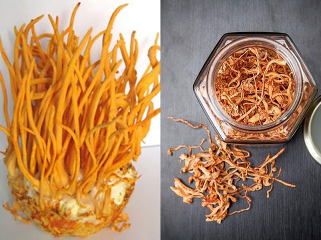 Kh&aacute;m ph&aacute; 7 c&ocirc;ng dụng nước đ&ocirc;ng tr&ugrave;ng hạ thảo gi&uacute;p hội U30 duy tr&igrave; tuổi trẻ - Ảnh 2.