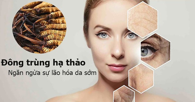 Kh&aacute;m ph&aacute; 7 c&ocirc;ng dụng nước đ&ocirc;ng tr&ugrave;ng hạ thảo gi&uacute;p hội U30 duy tr&igrave; tuổi trẻ - Ảnh 4.