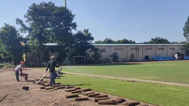 Sân phụ Mỹ Đình được thử nghiệm trồng loại cỏ cực mới, đại tu mặt sân chính đầu năm 2026- Ảnh 3.