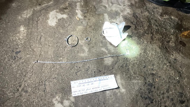 Đồng Nai: Bắt nữ giúp việc trộm nữ trang của chủ trị giá hơn 300 triệu đồng - Ảnh 1.