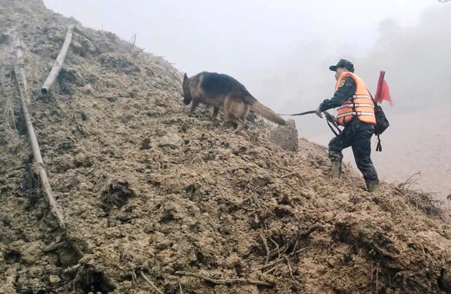 Sạt lở núi ở Đà Nẵng: Tạm dừng tìm kiếm các nạn nhân mất tích - Ảnh 1.