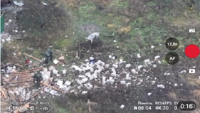 - Ảnh 1. - Ảnh 1.