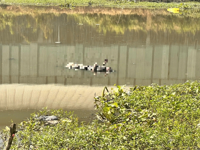 TP.HCM: Phát hiện thi thể nam giới phân hủy dưới kênh, chân mang giày tây- Ảnh 1. TP.HCM: Phát hiện thi thể nam giới phân hủy dưới kênh, chân mang giày tây- Ảnh 1.