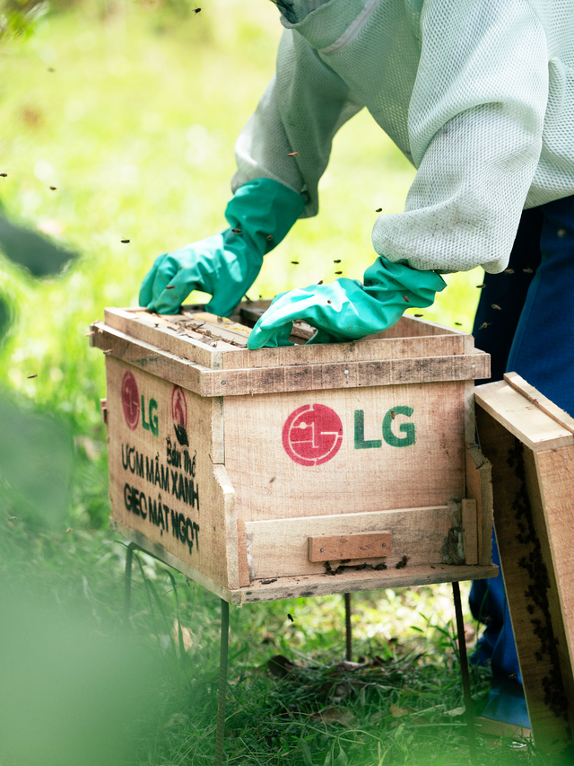 Đại sứ Cộng đồng LG 2025: Hành trình cùng cộng đồng kiến tạo tương lai bền vững- Ảnh 1. Đại sứ Cộng đồng LG 2025: Hành trình cùng cộng đồng kiến tạo tương lai bền vững- Ảnh 1.