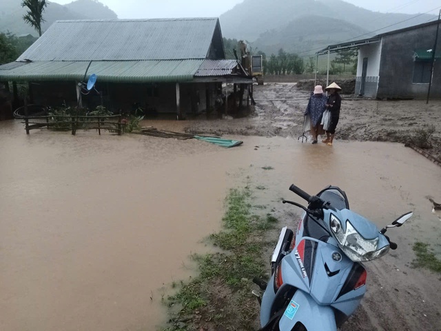 - Ảnh 2. - Ảnh 2.