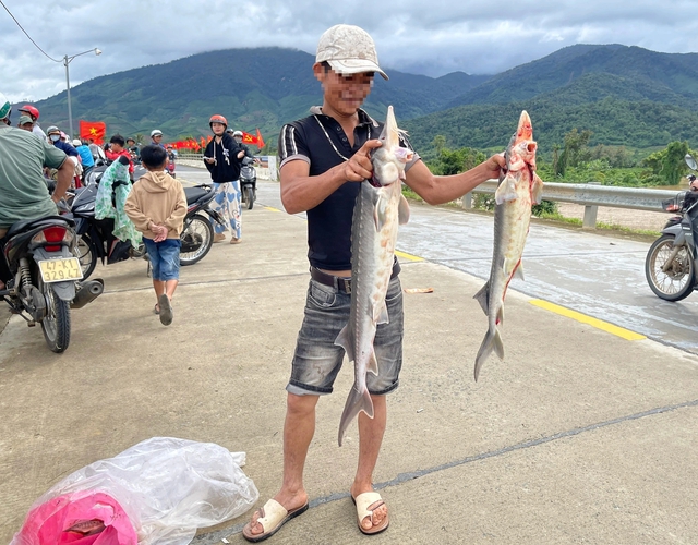 Đắk Lắk: Người dân liều mình câu cá tầm giữa dòng nước lũ - Ảnh 2.