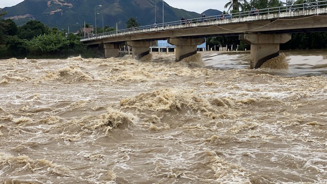 Lũ vượt b&aacute;o động 3 tr&ecirc;n hai s&ocirc;ng C&aacute;i lớn nhất Kh&aacute;nh H&ograve;a, cảnh b&aacute;o ngập lụt - Ảnh 1.